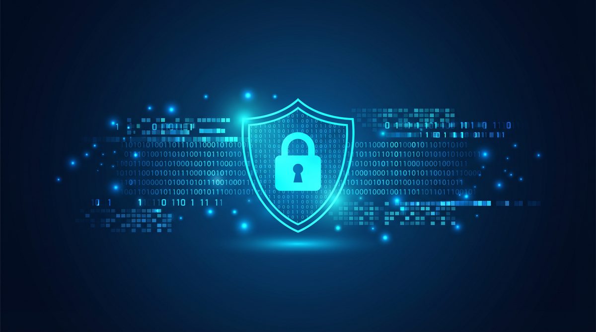 猎鸥加速器隐私安全保护